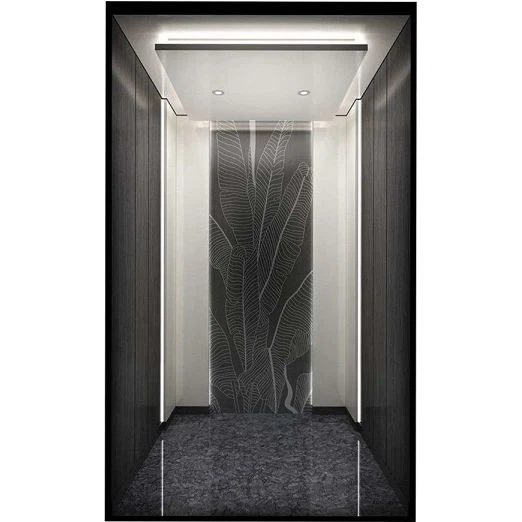 Thang máy chở khách phòng thương mại sang trọng