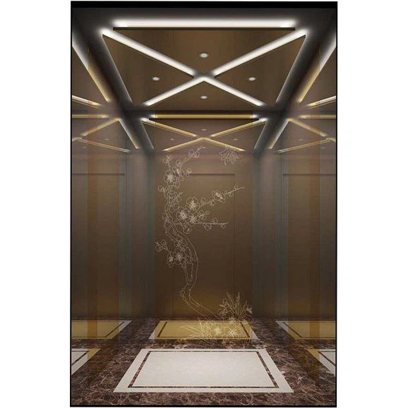 Thang máy chở khách sử dụng trong nhà và ngoài trời